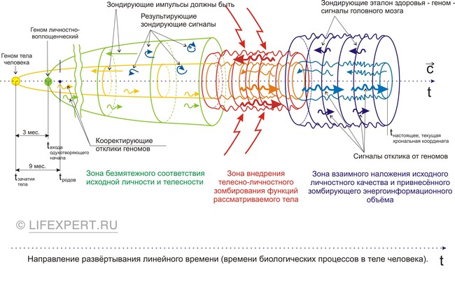 Системные семейные расстановки по Хеллингеру. Опасное одержание чужими ролями