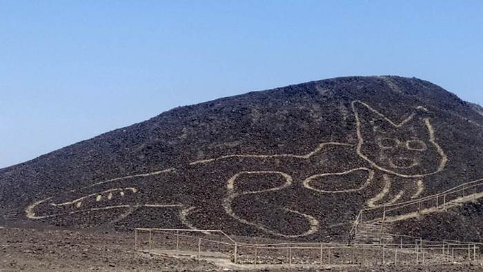 Теперь в песочном «зоопарке» Наски есть кошечка. /Фото: gannett-cdn.com