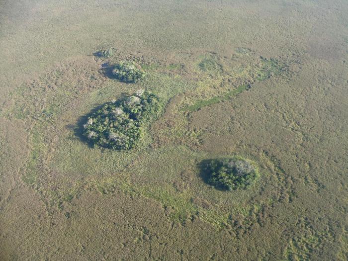 Не все так просто оказалось с земледелием в Амазонии. /Фото: eurekalert.org