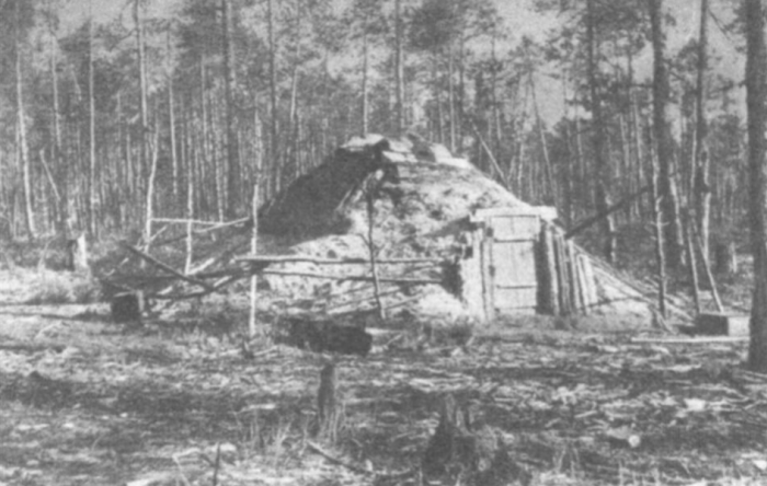 Береговые чукчи, селькупы, коряки из века в век хранили свои традиции и обычаи, в том числе и в отношении жилья / Фото: twitter.com