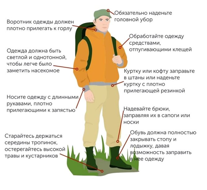 Форма одежды, которая поможет дать отпор клещам