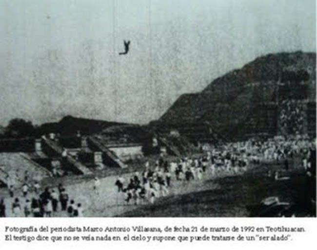 volador []